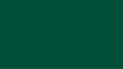 Green Colour Swatch