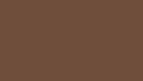 Light Brown Colour Swatch